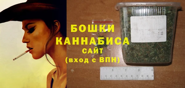 ПСИЛОЦИБИНОВЫЕ ГРИБЫ Лагань