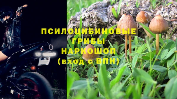 прущая мука Ладушкин
