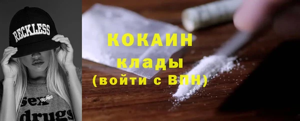 ПСИЛОЦИБИНОВЫЕ ГРИБЫ Лагань