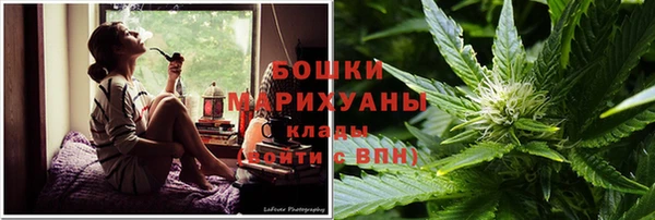 ПСИЛОЦИБИНОВЫЕ ГРИБЫ Лагань