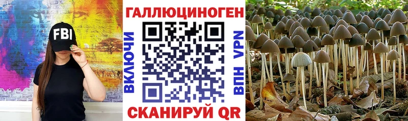 Псилоцибиновые грибы ЛСД мориарти клад Яранск